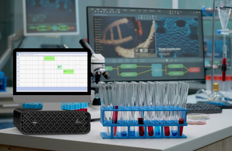 LabExpres Foto Kryesore